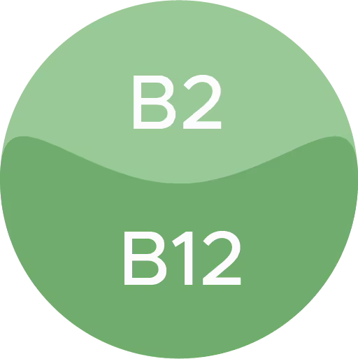 b2-b12