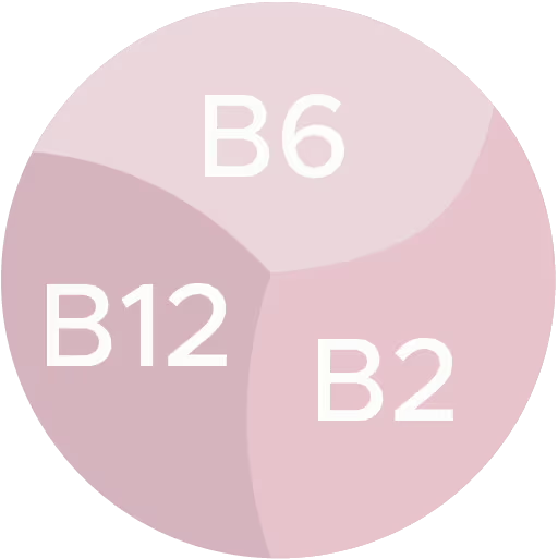 b6-b12-b2